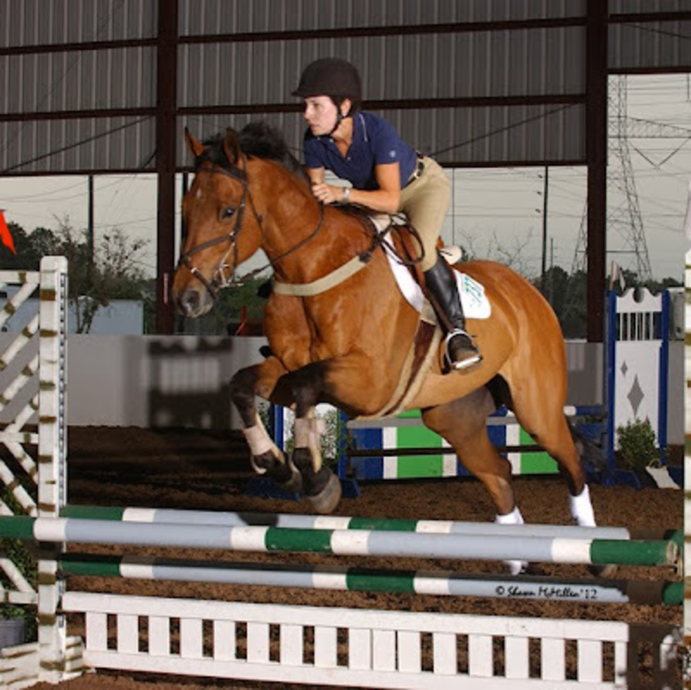 Meet your Posher, Suzanne